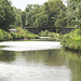 Canal latéral à la Loire vers Cuffy