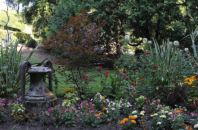 Massif exotique à l'antique- Jardin Vinay
