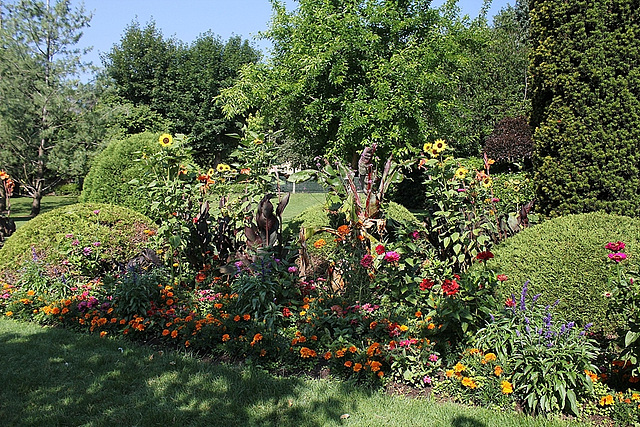 Massif varié- Jardin Vinay (2)