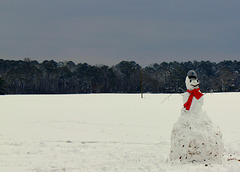 Snowman in field