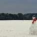 Snowman in field