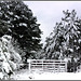 Snowy gate