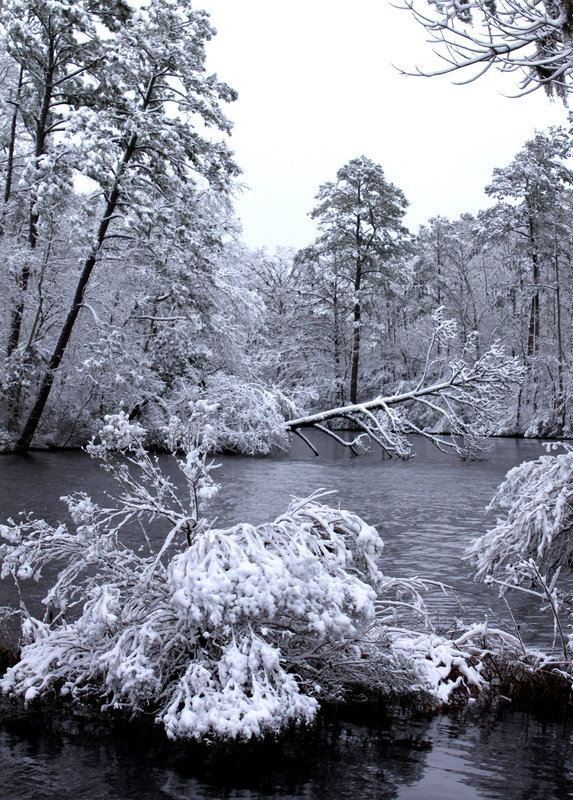 Snowy creek