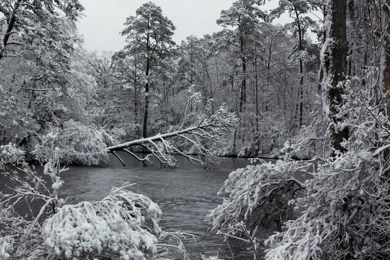 Snow in the Croatan