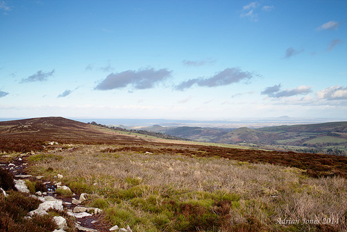 The Stiperstones