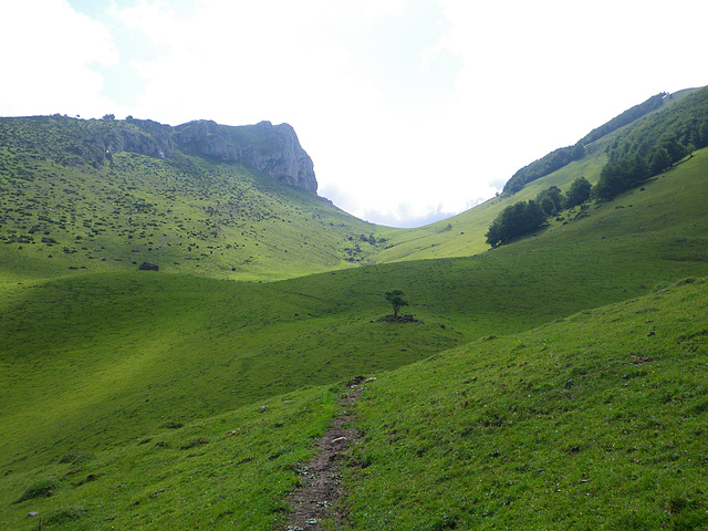 Prairie au pied du casque du Lhéris.