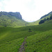 Prairie au pied du casque du Lhéris.