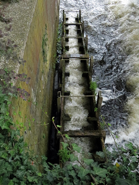 Wassertreppe