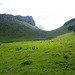 Prairie au pied du casque du Lhéris 2