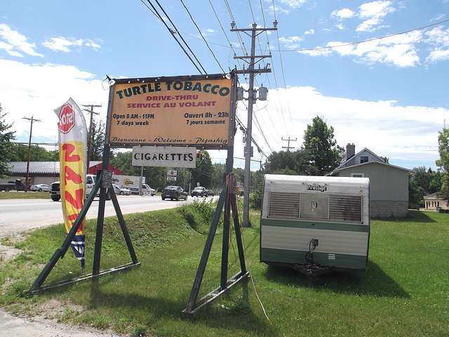 Turtle tobacco / Tabac de tortue - 30 juin 2012.