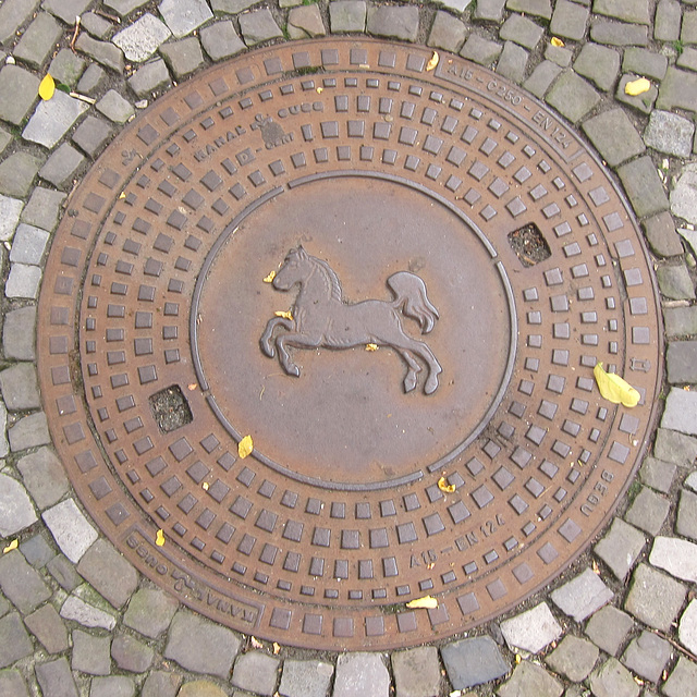 Kanaldeckel in Oldenburg