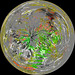 Circle 7