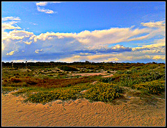 Valencia: playa del Saler.