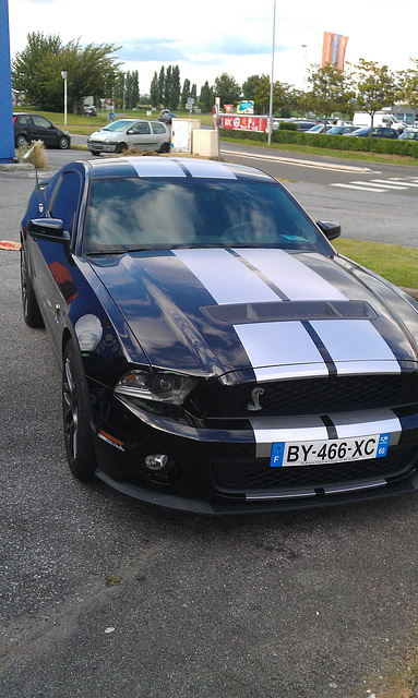 Shelby GT