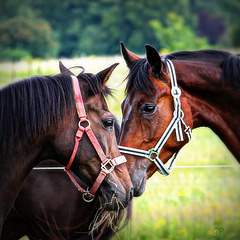 Prise de contact