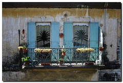 Fenster mit Palmen