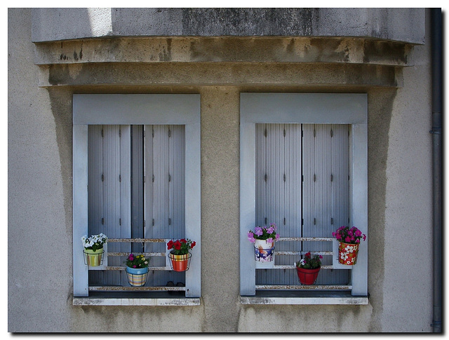 Fenster mit Blumen