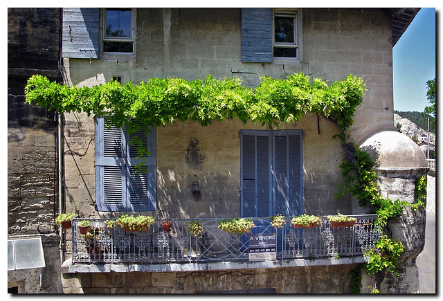 Fenster mit Wein