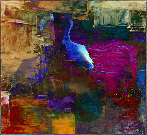 J'habite où tes yeux brillent................ où ton sang coule.............. Où tes bras me serrent