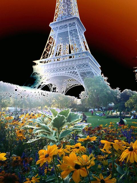 La Tour Eiffel sur lit de fleurs !