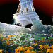 La Tour Eiffel sur lit de fleurs !