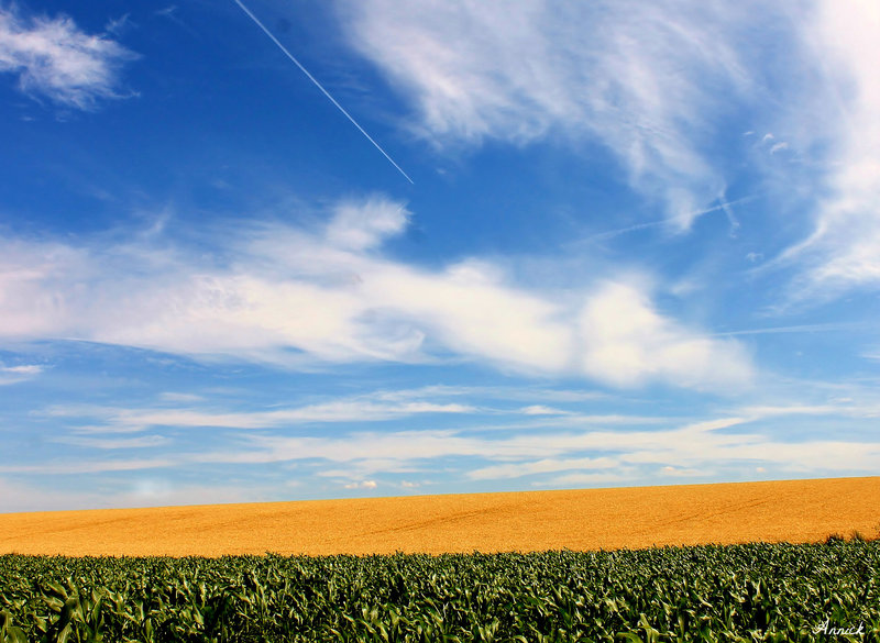 UN CIEL D'ETE !! ENFIN....