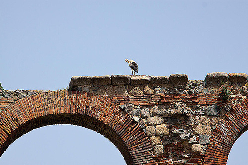 20120510 9470RAw [E] Weißst0rch (Cicona cicona), Aquädukt de los Milagros, Merida, Extremadura