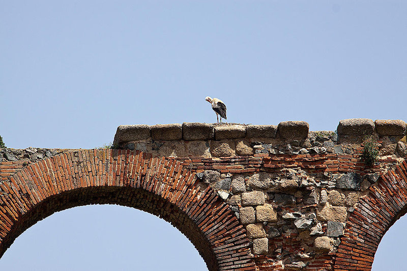 20120510 9470RAw [E] Weißst0rch (Cicona cicona), Aquädukt de los Milagros, Merida, Extremadura