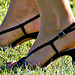 strappy heels in  grass