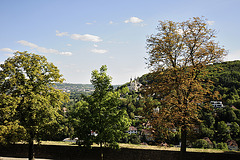 Würzburg - 12082012