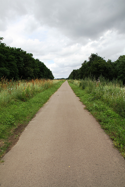 La Loire à vélo