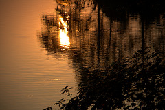 Quand le soleil se pointe à l'horizon . . .