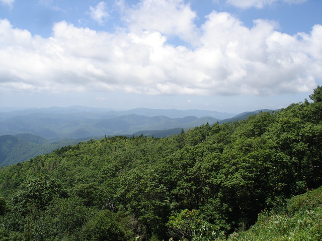 Green knob overlook / Blue Ridge Parway - 14 juillet 2010.