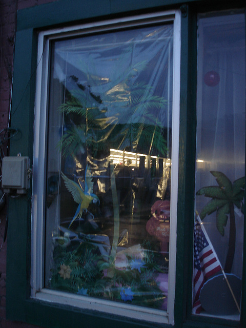 Drapeau et reflet / Flag and reflection - July 13th 2010.