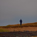 watcher on the dunes