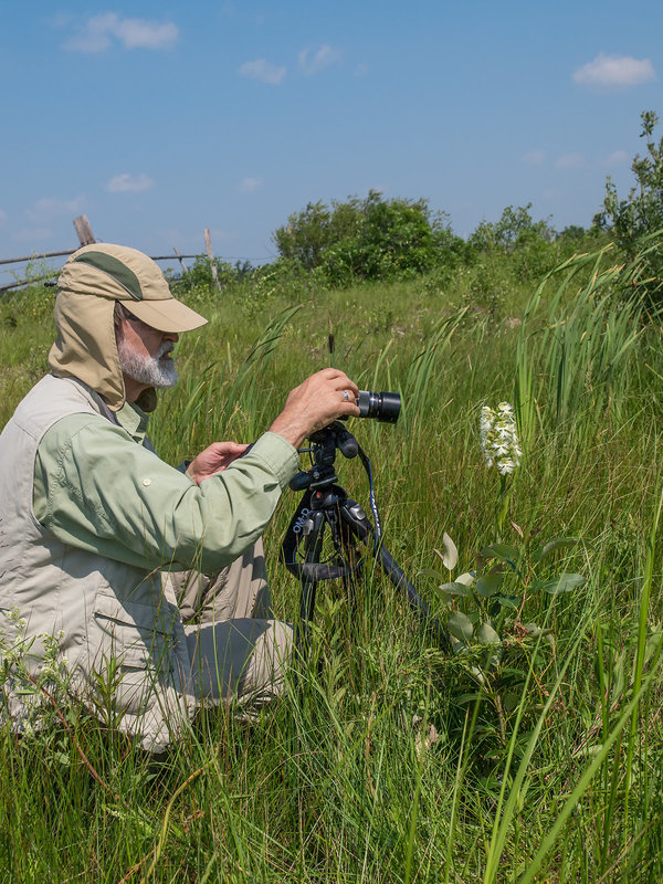 Walter photographing Platanthera praeclara (Western Prairie Fringed orchid)