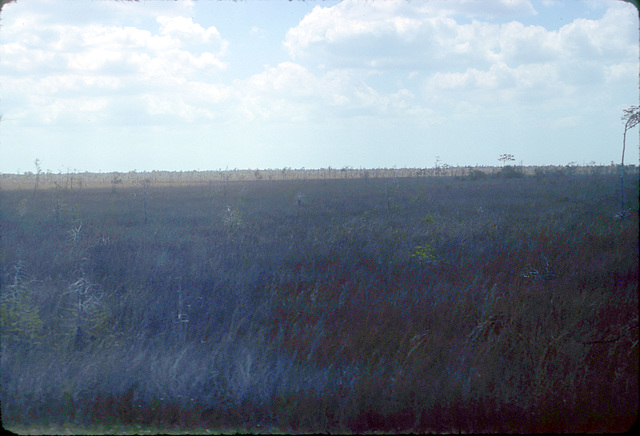 08-sawgrass_prairie_ig_adj