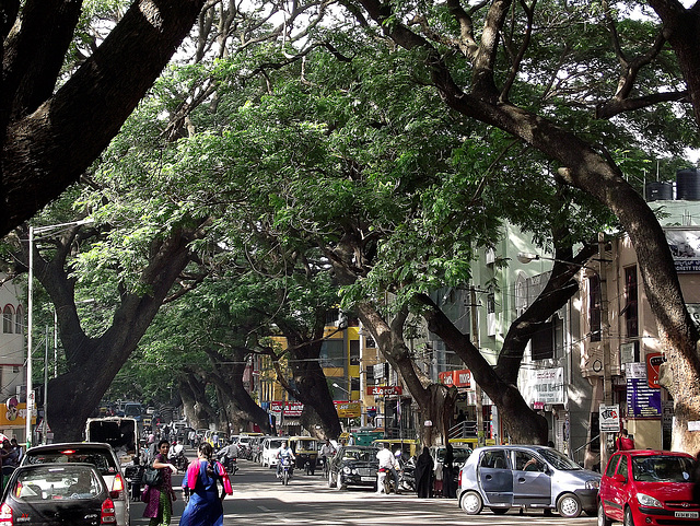 Mosque Road