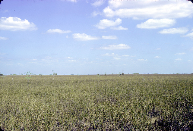 13-sawgrass_prairie_ig2_adj