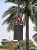 Dubai 2012 – Watch out for short people wearing robes