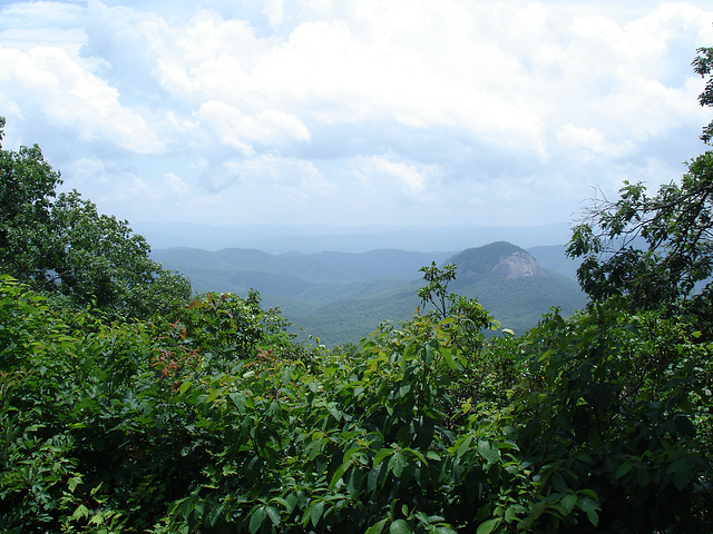 Log hollow overlook / Blue Ridge Parkway - 13 juillet 2010.