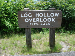 Log hollow overlook / Blue Ridge Parkway - 13 juillet 2010.