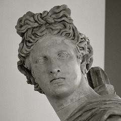 Museum of Antiquities – Apollo