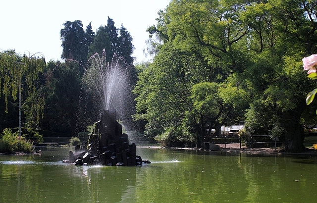 Bassin du jardin Vinay