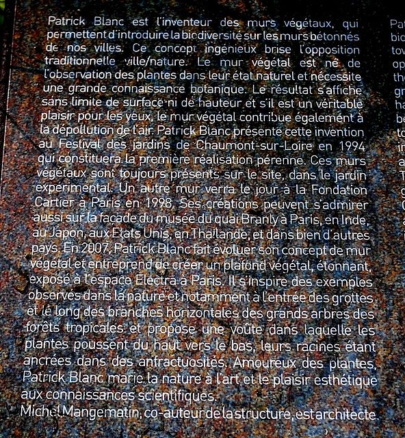 Murs végétaux (2)