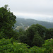 View Plott Balsam / Blue Ridge Parkway - 13 juillet 2010