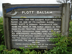 View Plott Balsam / Blue Ridge Parkway - 13 juillet 2010