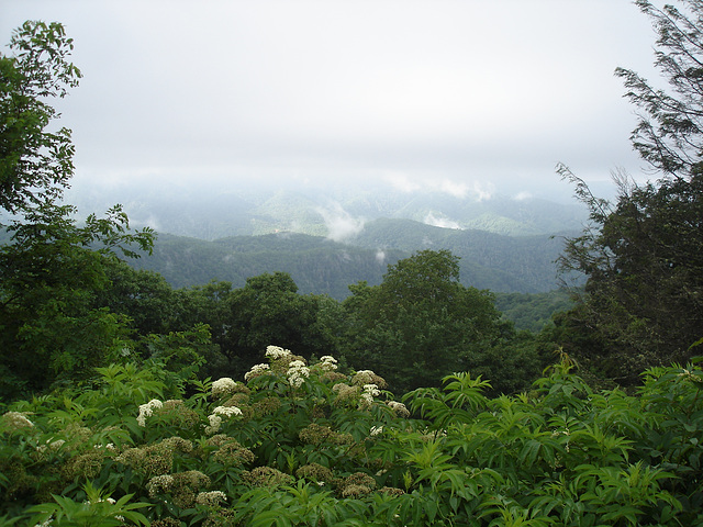 View Plott Balsam / Blue Ridge Parkway - 13 juillet 2010