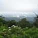 View Plott Balsam / Blue Ridge Parkway - 13 juillet 2010