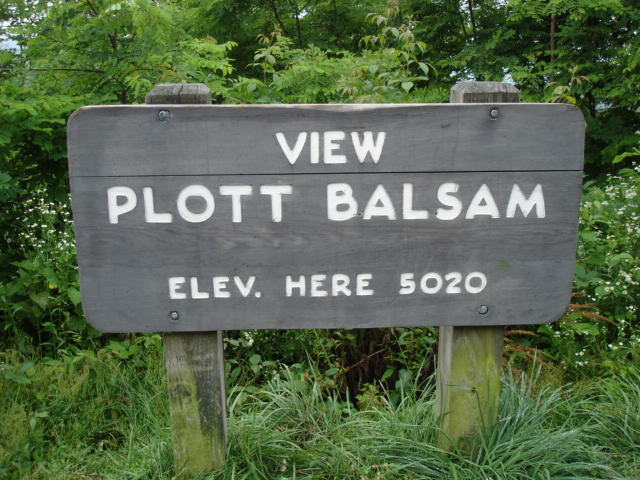 View Plott Balsam / Blue Ridge Parkway - 13 juillet 2010.